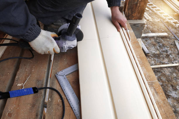 Best Siding Painting and Refinishing  in Ladson, SC